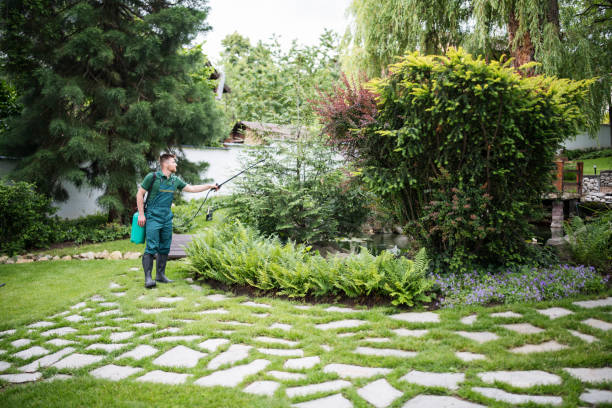 Best Mosquito Control Services  in Shady Cove, OR