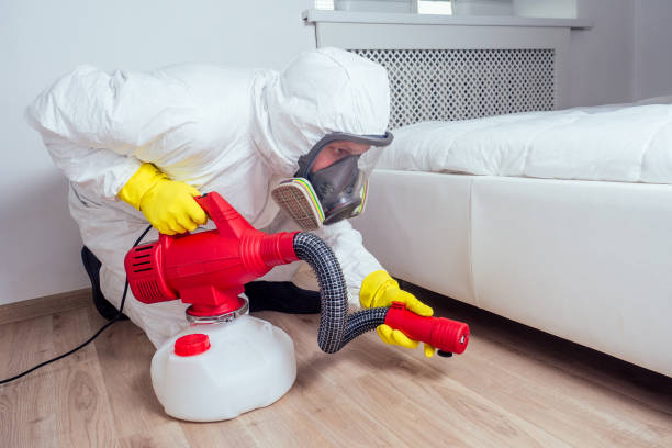Best Affordable Pest Control Services  in Shady Cove, OR