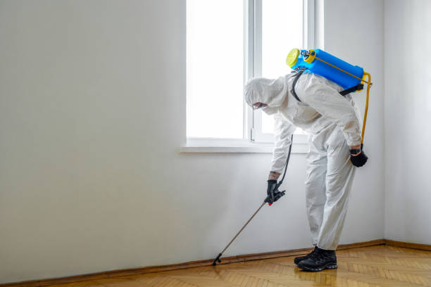 Best Local Pest Control Services  in Shady Cove, OR