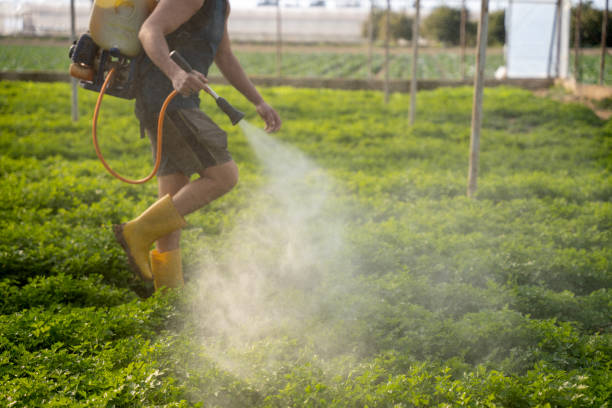 Best Pest Control Near Me  in Shady Cove, OR