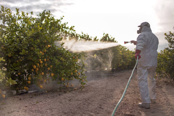 Pest Prevention Services in Shady Cove, OR