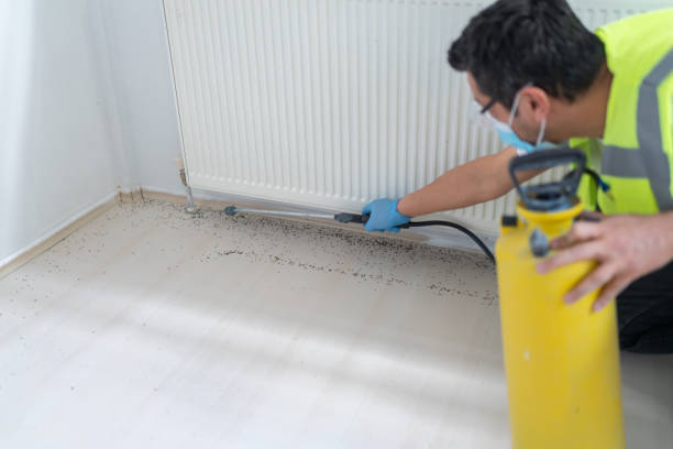 Professional Pest Control in Shady Cove, OR